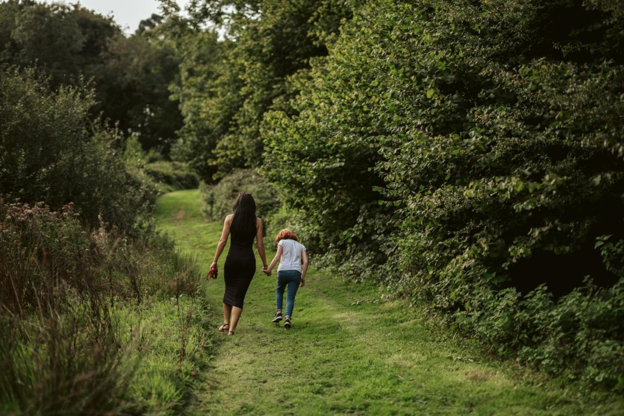 Willow Valley Bude Zewnętrze zdjęcie